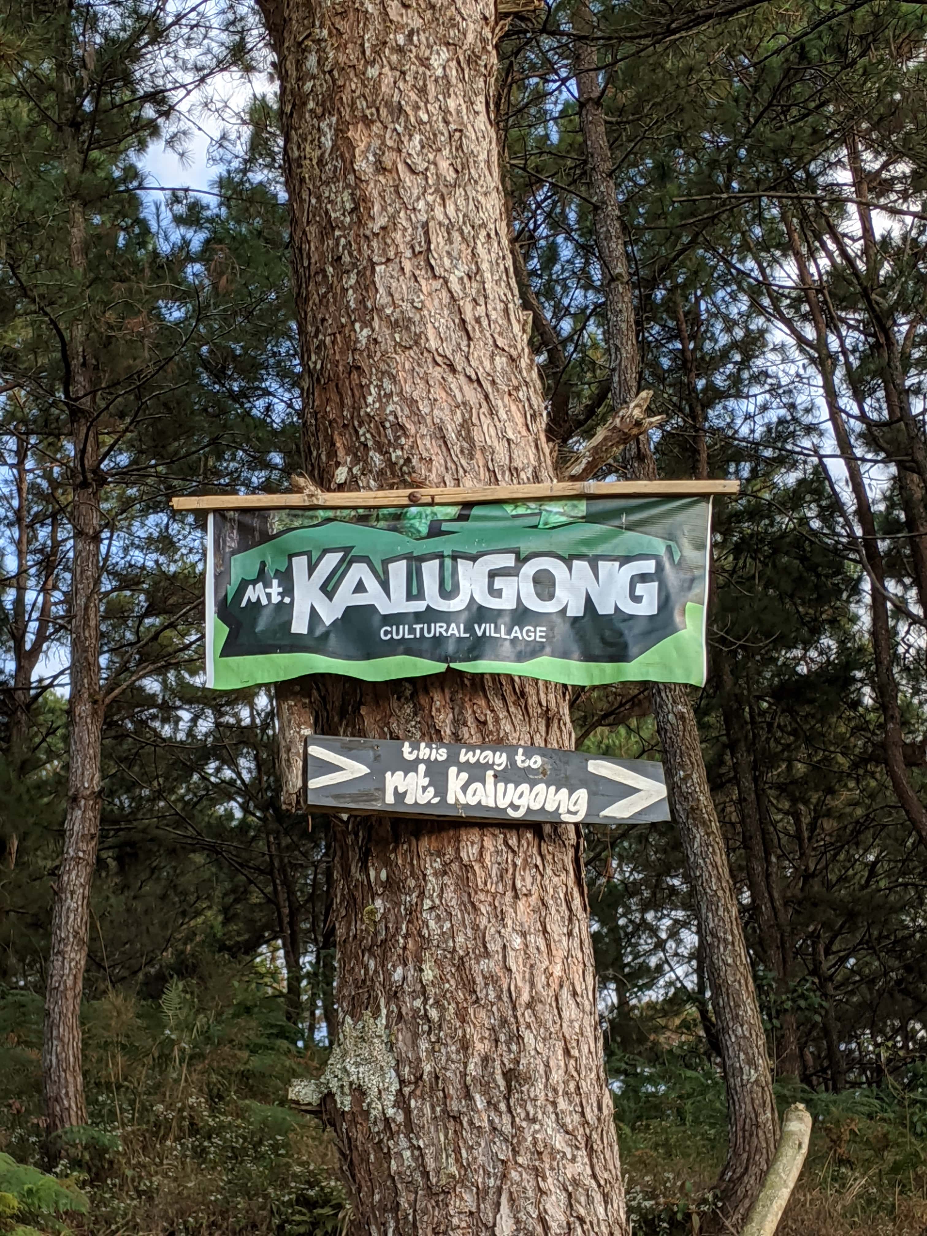 Mt.Kalugong / カルゴン山