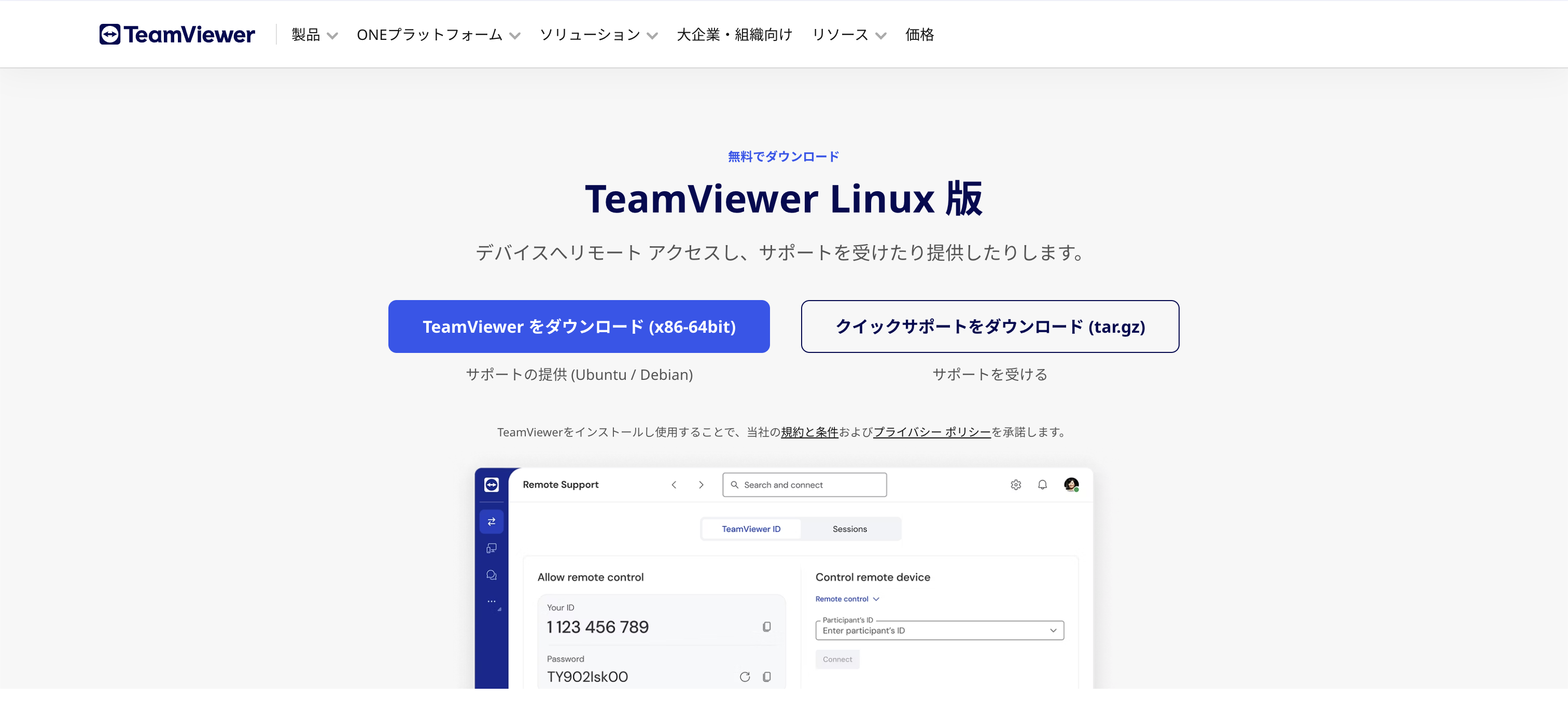 TeamViewer